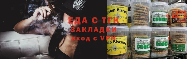 spice Бородино