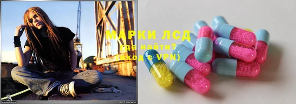 стаф Зеленокумск