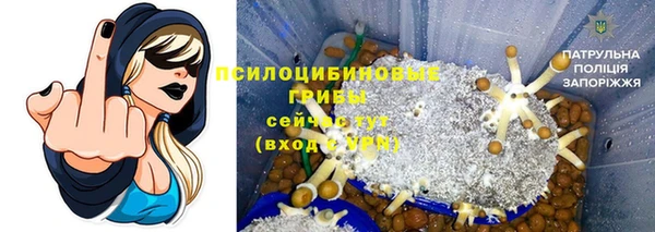 бошки Зерноград