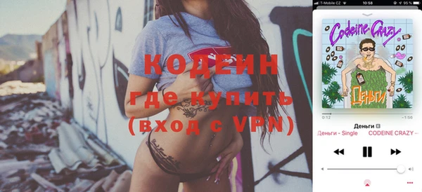 индика Верхний Тагил