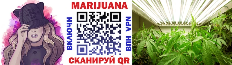 Шишки марихуана марихуана где купить Железногорск-Илимский